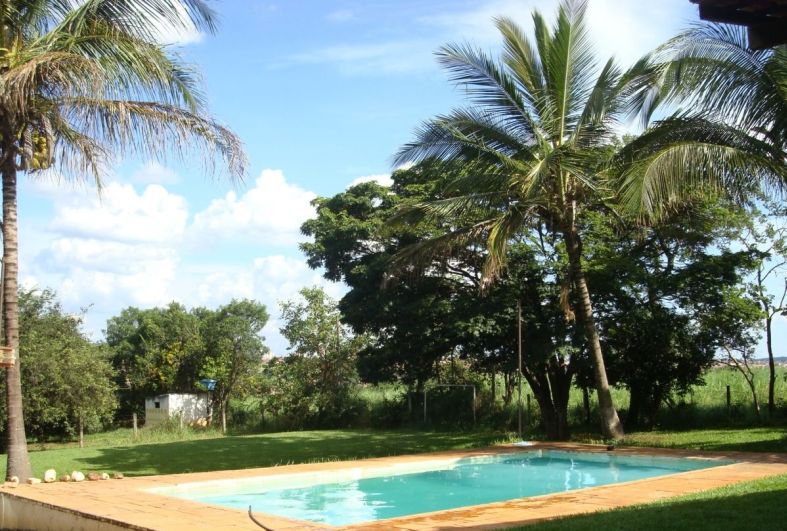 piscina com coqueiros ao redor e mini-campo ao fundo